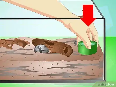 Imagen titulada Make a Millipede Habitat Step 4
