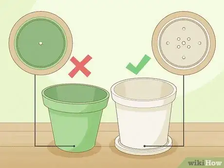 Imagen titulada Plant Date Seeds Step 10