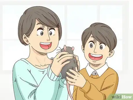 Imagen titulada Choose Between a Pet Mouse or Pet Rat Step 9