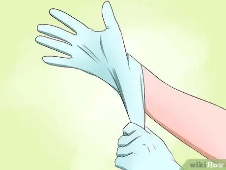 Imagen titulada Clean Your Cat When He Can't Do It Himself Step 17
