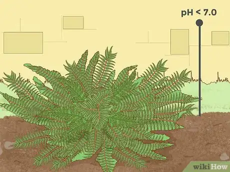Imagen titulada Lower Soil pH Step 16