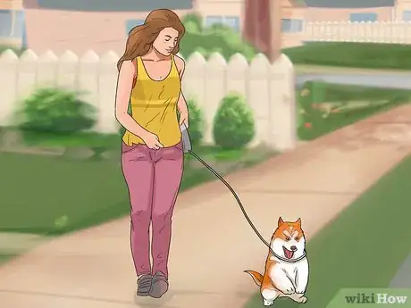 Imagen titulada Start Walking Your Puppy Step 5
