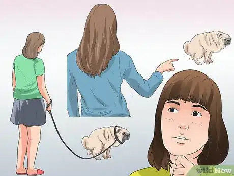 Imagen titulada Train Pugs Step 15