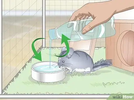 Imagen titulada Care for Chinchillas Step 13