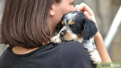 Imagen titulada Carry a Puppy Step 19