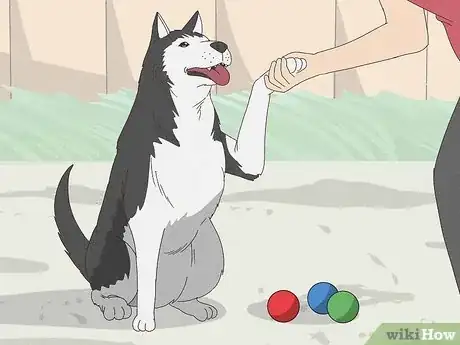 Imagen titulada Stop a Dog from Pawing Step 5