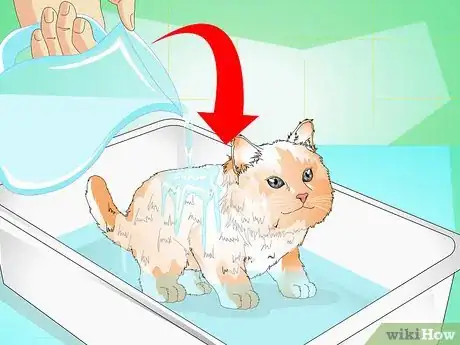 Imagen titulada Give a Kitten a Bath Step 9