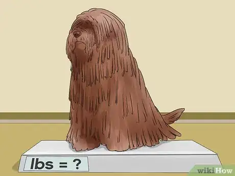 Imagen titulada Exercise a Mother Dog Step 4