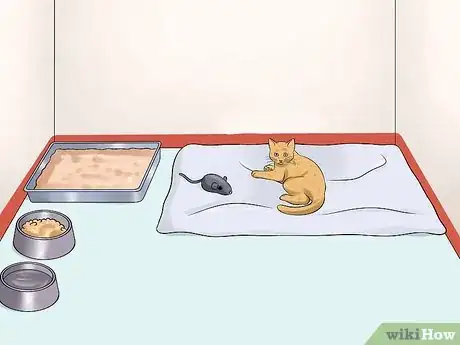 Imagen titulada Care for a Stray Kitten Step 15