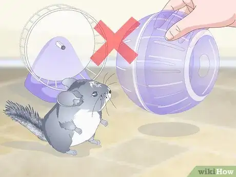 Imagen titulada Care for Chinchillas Step 20