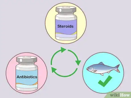 Imagen titulada Diagnose and Treat Rodent Ulcers in Cats Step 9