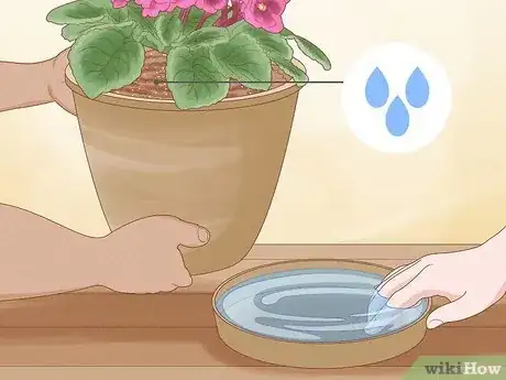 Imagen titulada Repot African Violets Step 13