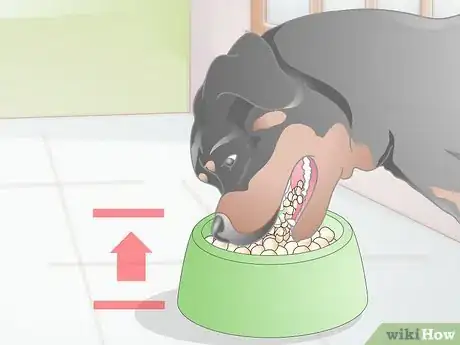 Imagen titulada Choose Dog Food Bowls Step 1