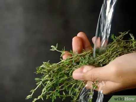 Imagen titulada Prepare and Store Fresh Thyme Step 4