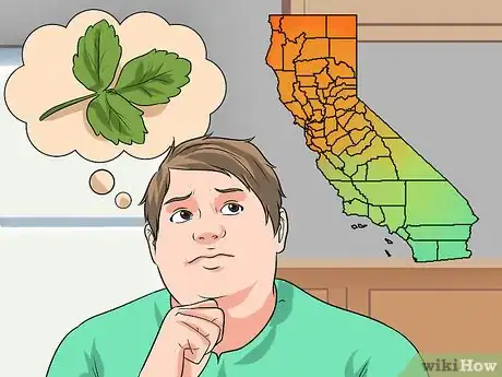 Imagen titulada Identify Poison Oak Step 1