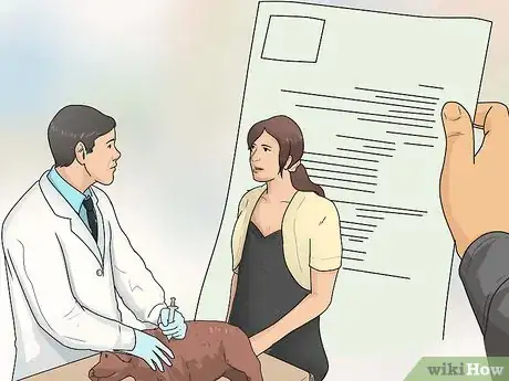 Imagen titulada Bring a Dog Into the United States Step 4