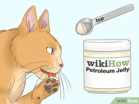 Imagen titulada Help a Cat Cough Up a Hairball Step 2