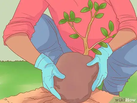 Imagen titulada Cope After the Death of a Pet Step 11