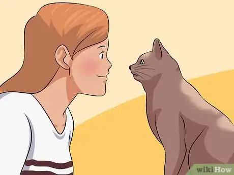 Imagen titulada Diagnose Eyelid Conditions in Cats Step 3
