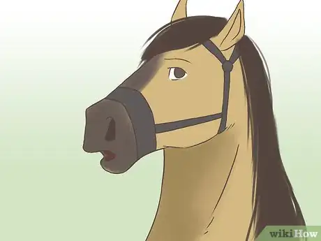 Imagen titulada Get a Horse Fit Step 5