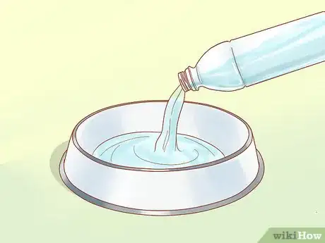 Imagen titulada Care for a Dog After It Has Just Vomited Step 13