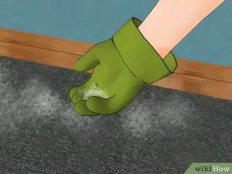Imagen titulada Get Rid of Fleas in Carpets Step 7