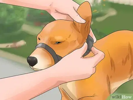 Imagen titulada Put on a Puppy Harness Step 4