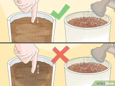 Imagen titulada Plant a Seed in a Pot Step 8