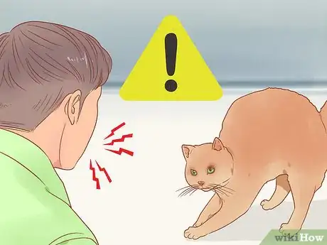 Imagen titulada Reduce Stress in Cats Step 17