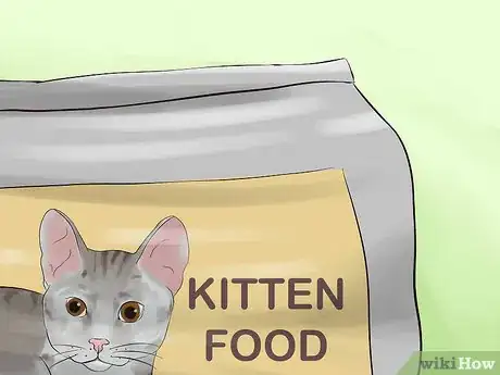 Imagen titulada Adopt a Kitten Step 6