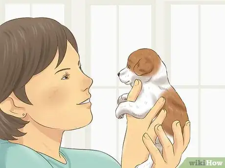 Imagen titulada Choose a Puppy to Keep from Your Litter Step 5