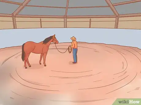 Imagen titulada Join Up With a Horse Step 8