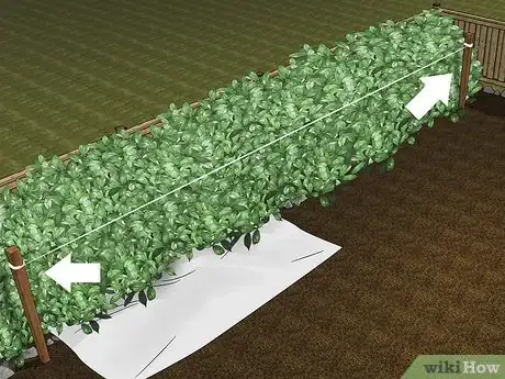 Imagen titulada Trim Shrubs Step 3