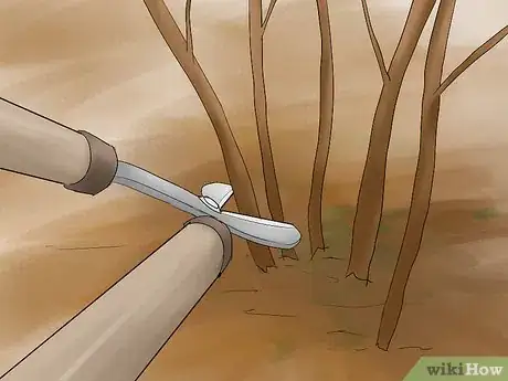 Imagen titulada Prune Hydrangeas Step 4