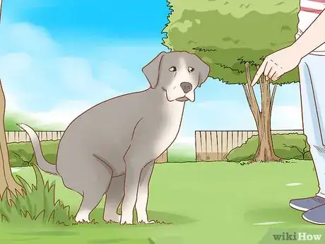 Imagen titulada Train Your Service Dog Without a Professional Trainer Step 14