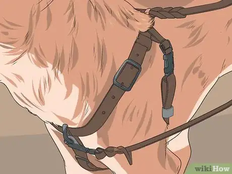 Imagen titulada Train Your Dog from Running out of Your House Step 8