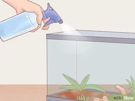 Imagen titulada Care for a House Gecko Step 5
