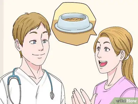 Imagen titulada Get a Cat to Stop Meowing Step 5