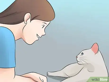 Imagen titulada Help Your Depressed Cat Step 11