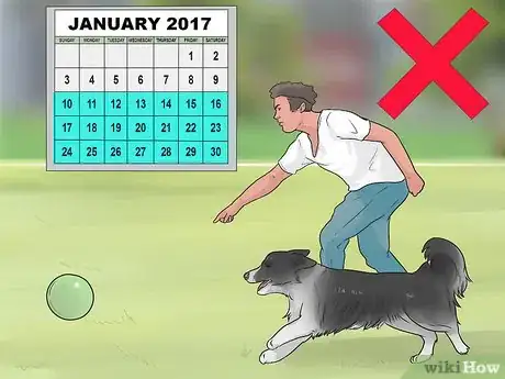 Imagen titulada Exercise a Mother Dog Step 5