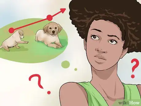 Imagen titulada Buy a Labrador Retriever Puppy Step 16