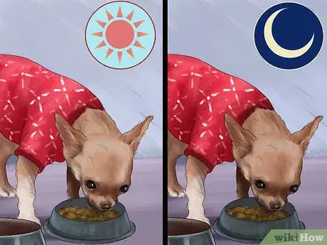 Imagen titulada Feed Picky Chihuahuas Step 4