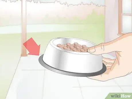 Imagen titulada Choose Dog Food Bowls Step 4