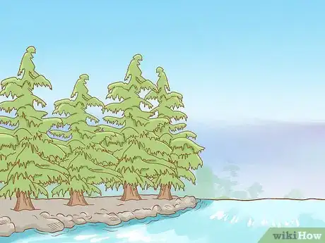 Imagen titulada Identify Cedar Trees Step 17