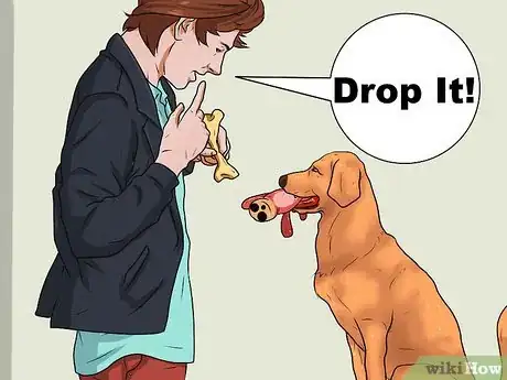 Imagen titulada Teach a Dog to Fetch Step 1