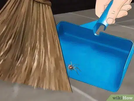 Imagen titulada Get Spiders Out of Your House Without Killing Them Step 11