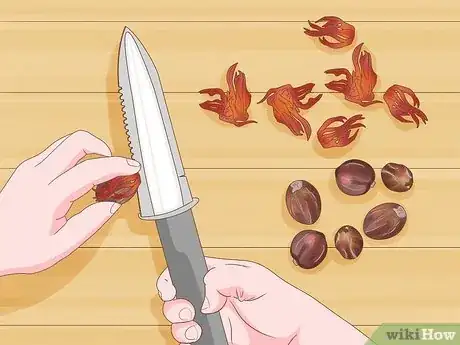 Imagen titulada Grow Nutmeg Step 5