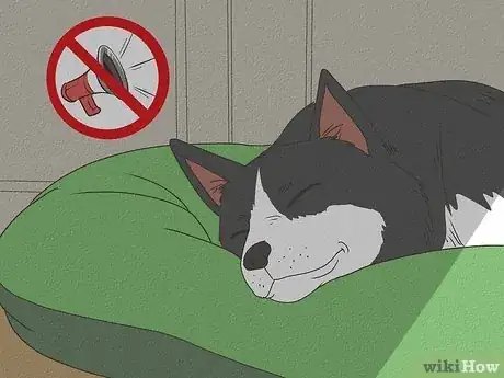 Imagen titulada Care for a Sick Dog Step 13
