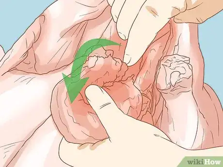 Imagen titulada Clean a Turkey Step 4