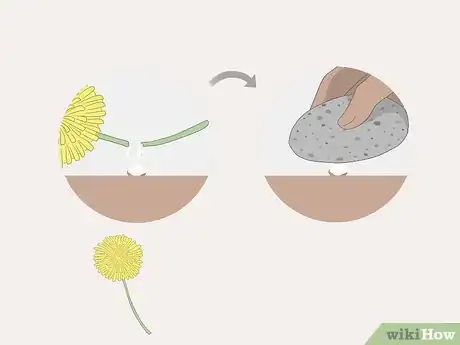 Imagen titulada Get Rid of Warts Step 35